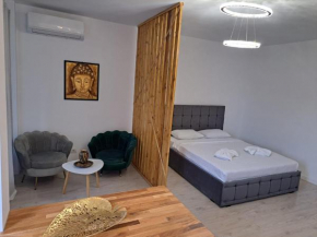 Luxury Studio Pipera